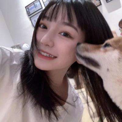 欧洲豪华车模拟内购破解版下载